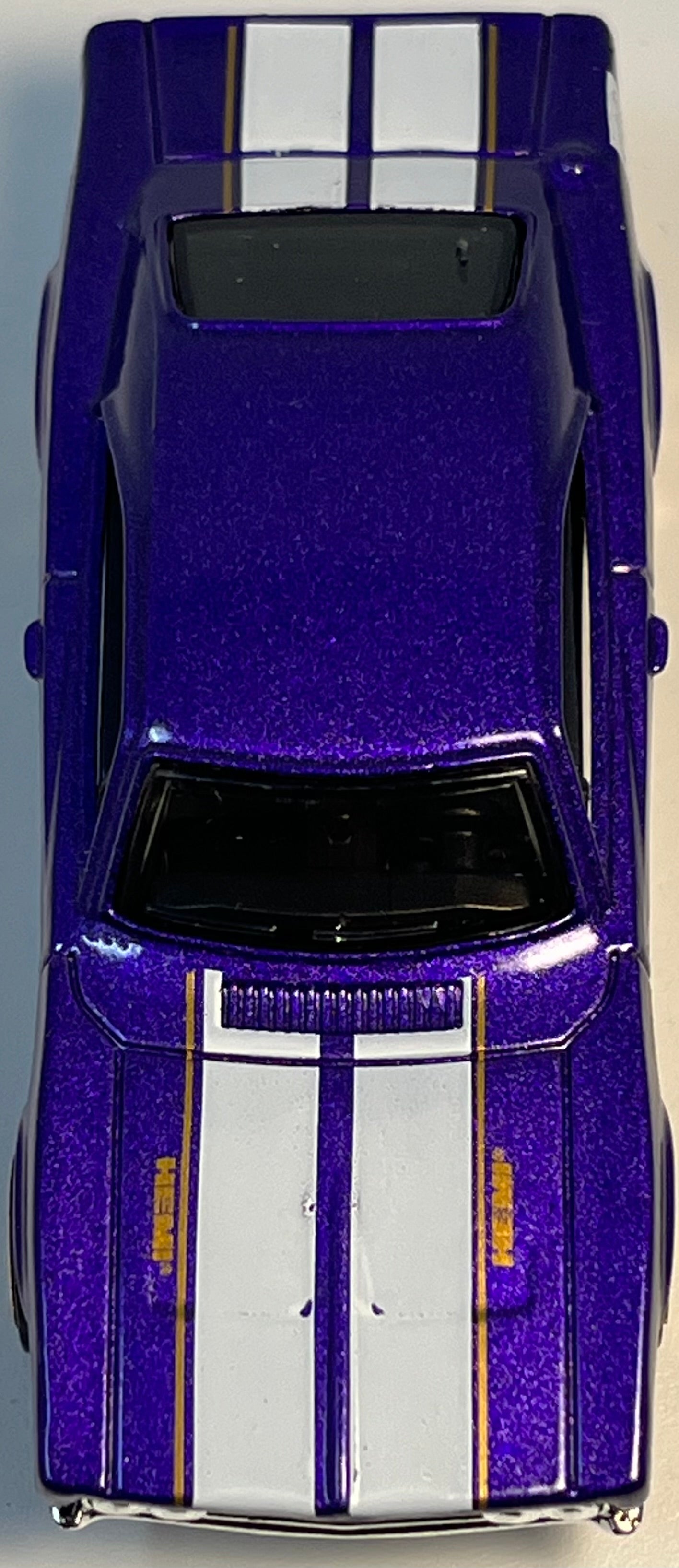 Hot Wheels ‘69 Dodge Charger 500 (Purple) with Protector